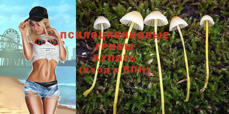 Псилоцибиновые грибы MAGIC MUSHROOMS  Североуральск 